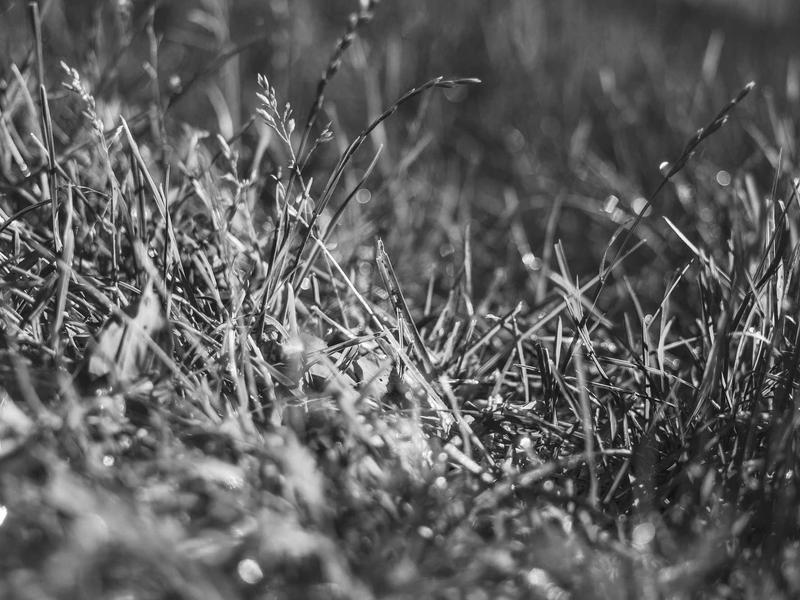 sudoku unique rectangle screenshot 1